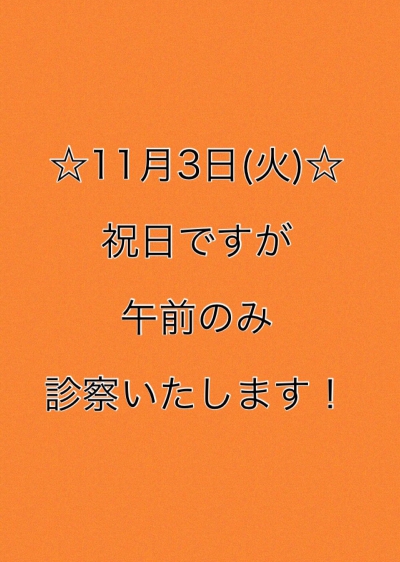 11月3日祝日